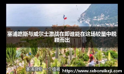 emc易倍体育官网