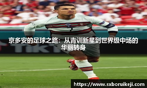 emc易倍体育