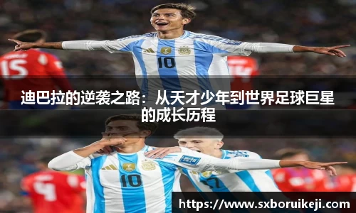 emc易倍体育