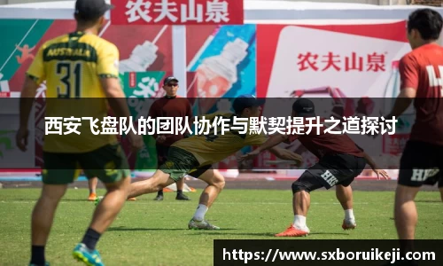 西安飞盘队的团队协作与默契提升之道探讨